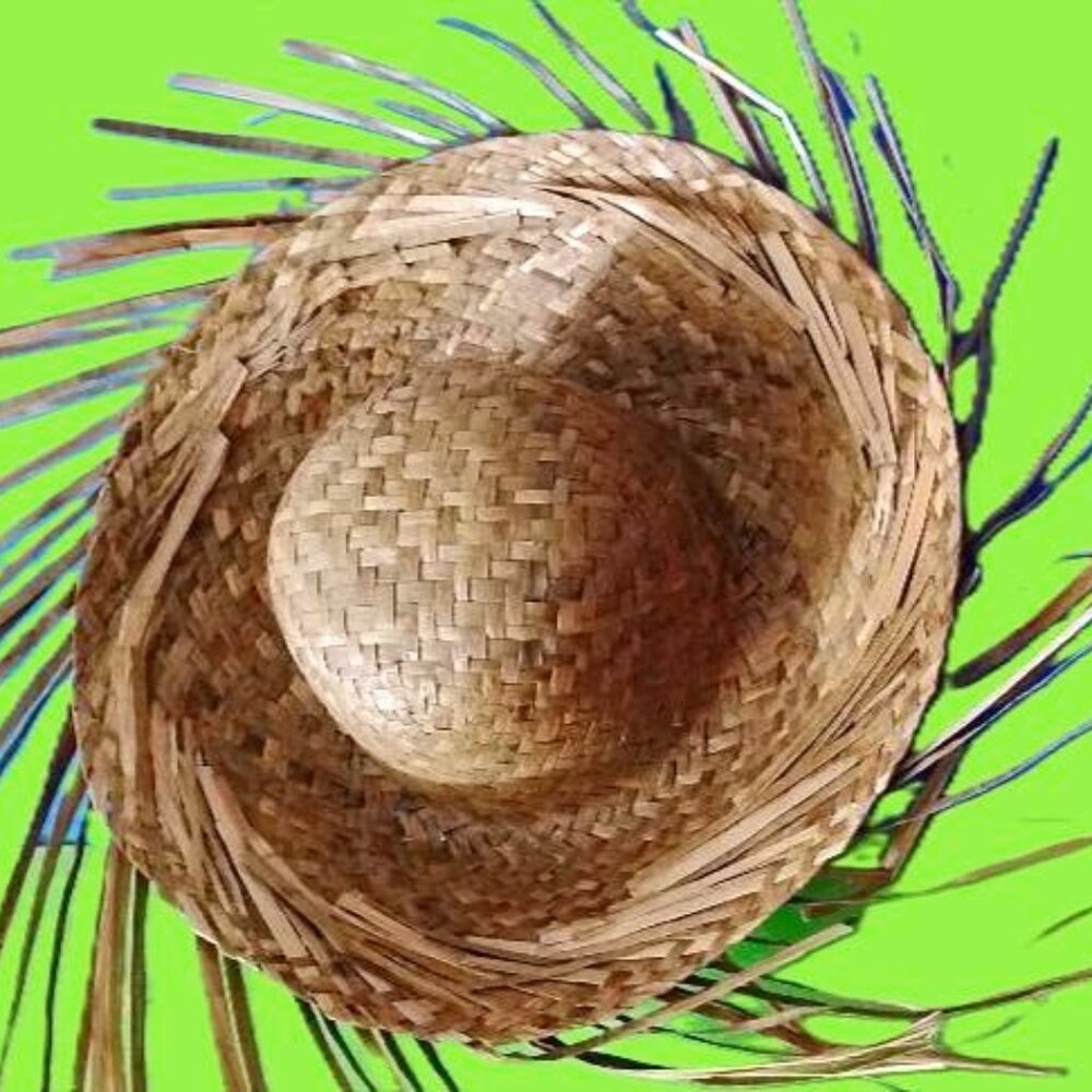 The pava is a straw hat made out of the leaves .12"